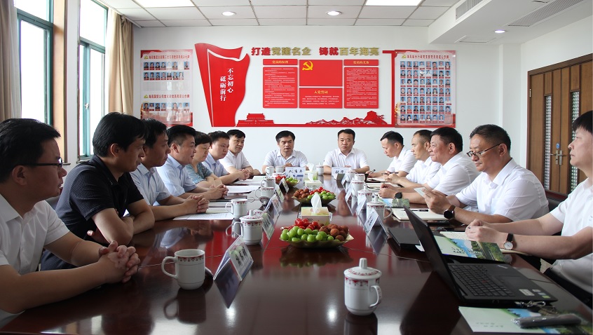 Lei Qijun, Deputy Secretary of Municipal Party Committee and Mayor of Linqing City, Shandong Province, Visited Hailiang for Investigation and Research